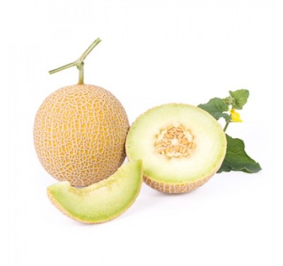 Dưa Lưới Inthanon RZ